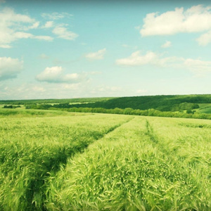 爆操退休老空姐
